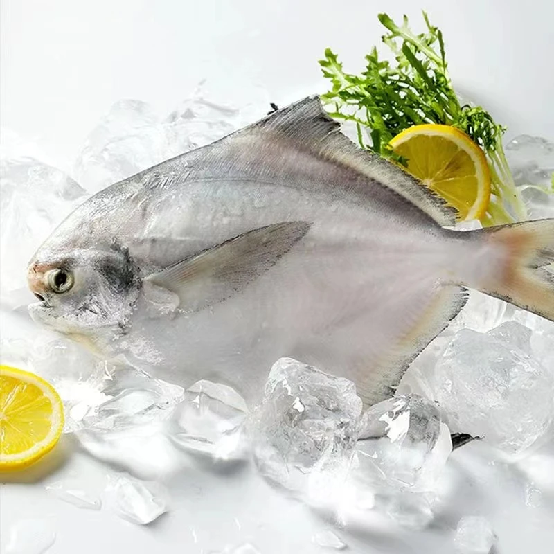 银鲳鱼6斤 500g/ 八条左右/包 清蒸红烧 鱼肉细腻 速冻锁鲜发货