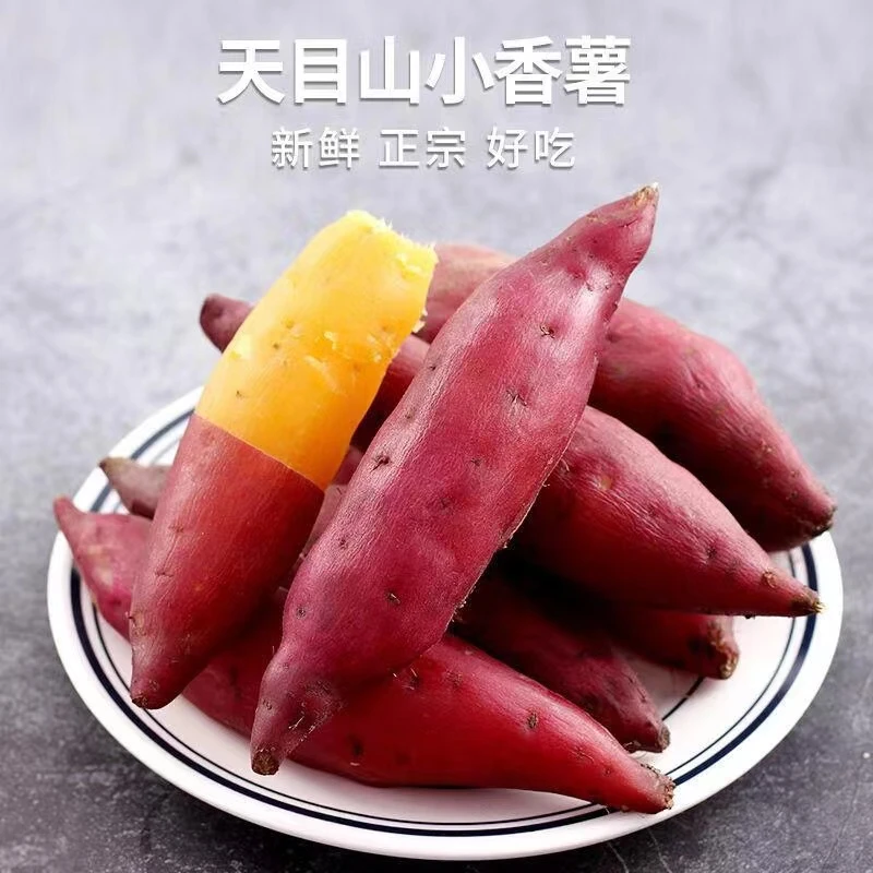 丰登九月板栗小香薯3/5斤新鲜沙地红薯地瓜农产品粗粮基地直发糯