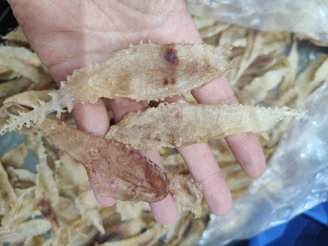 【顺丰包邮】青岛琴岛顺合自家晒的鳘鱼鳔干（鱼胶，花胶）250克精品