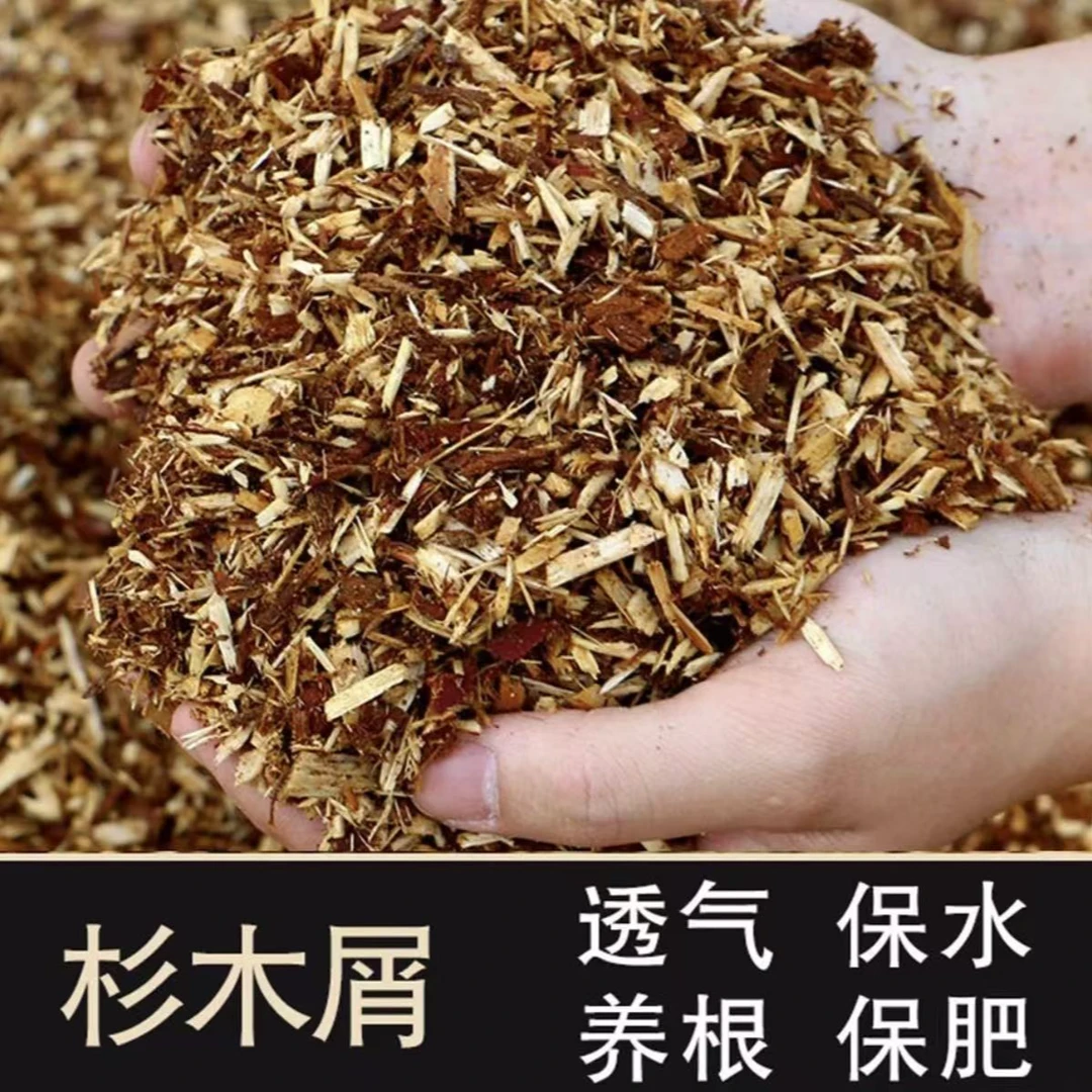 【优质杉木屑】兰花专用植料