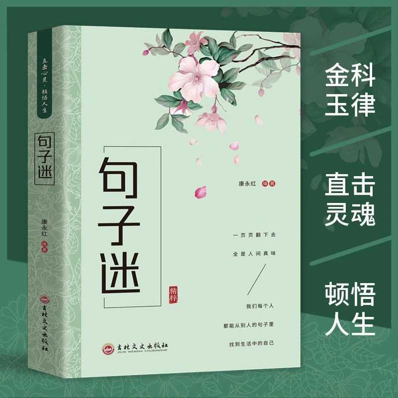 达人专属句子迷正版名言佳句人生答疑书籍优美句子作文写作素材
