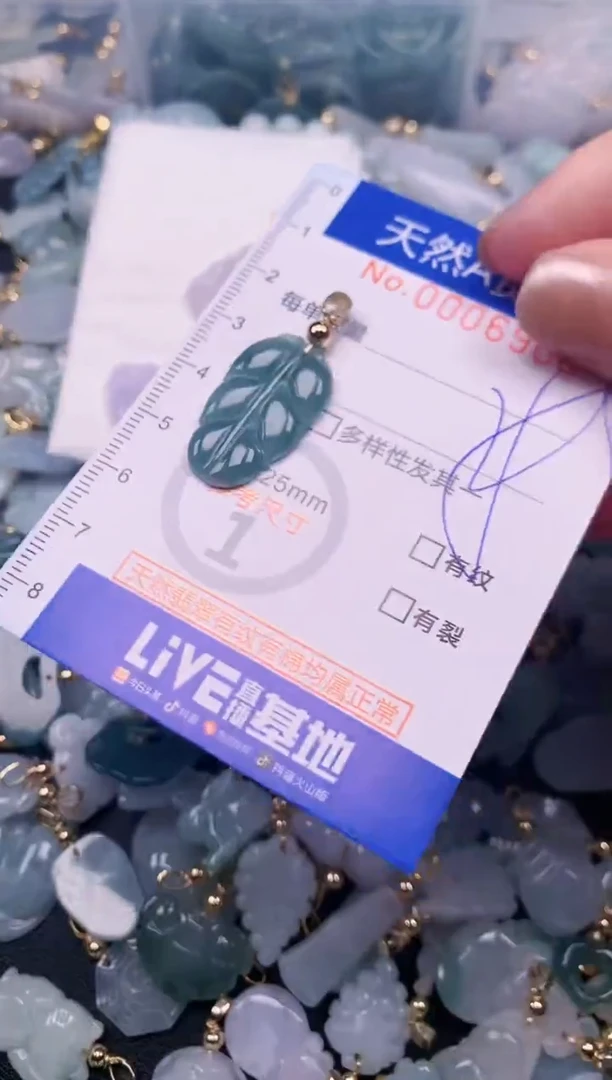 【闪购商品】翡翠颈饰未镶嵌00006906