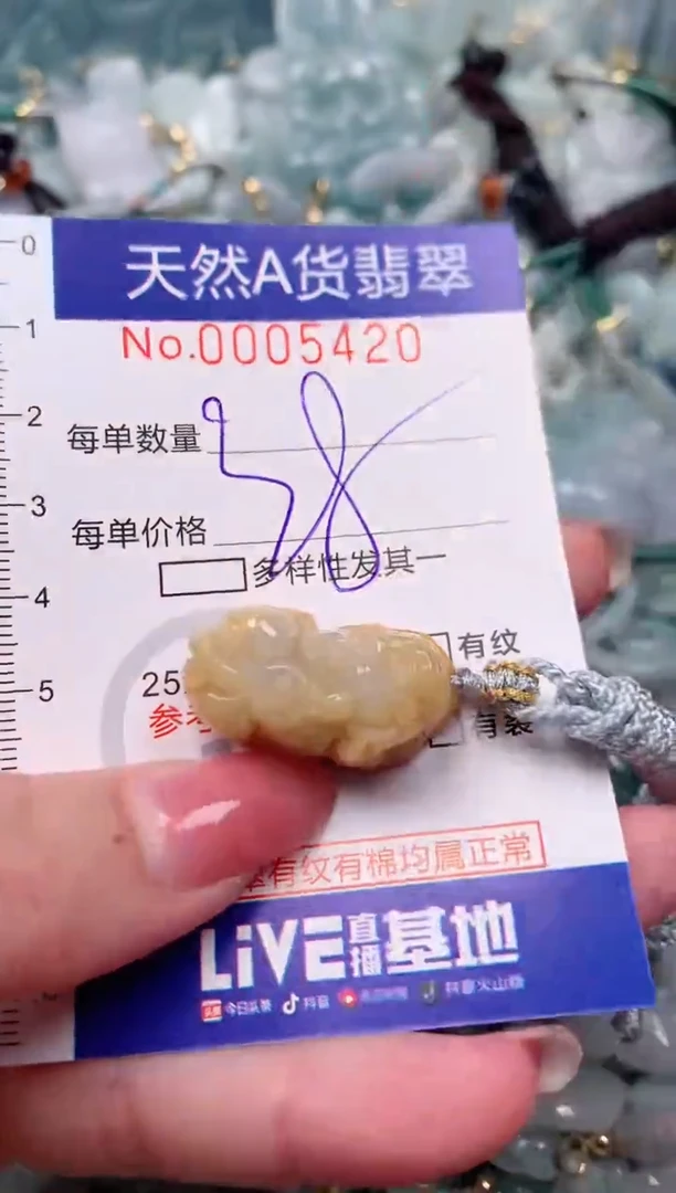 【闪购商品】翡翠颈饰未镶嵌00005420