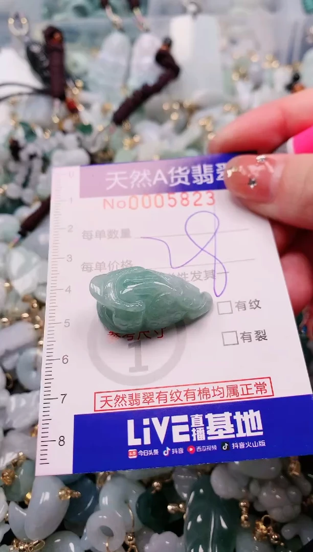 【闪购商品】翡翠颈饰未镶嵌00005823