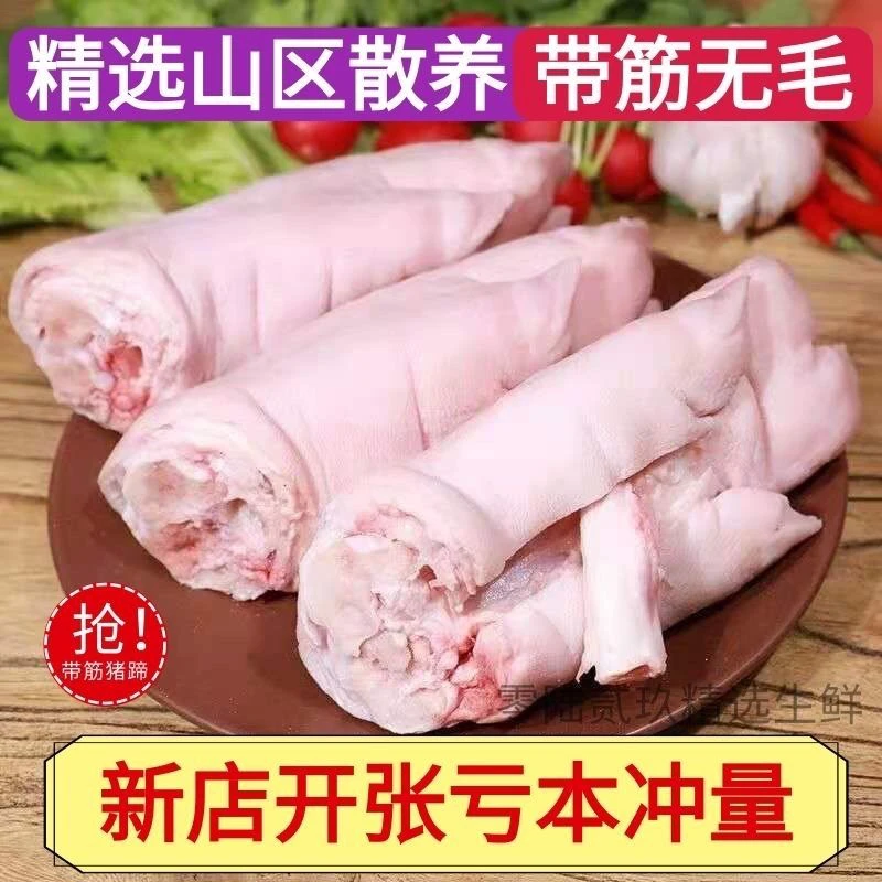 新鲜猪蹄整只红烧猪蹄前蹄带筋猪脚猪手商用生猪后蹄子猪前蹄批发