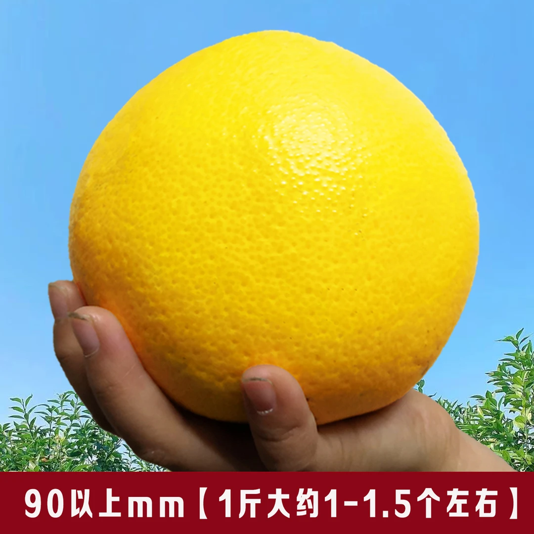 正宗江西赣州脐橙手剥甜橙子新鲜摘2024赣南脐橙20斤装纽荷尔发货