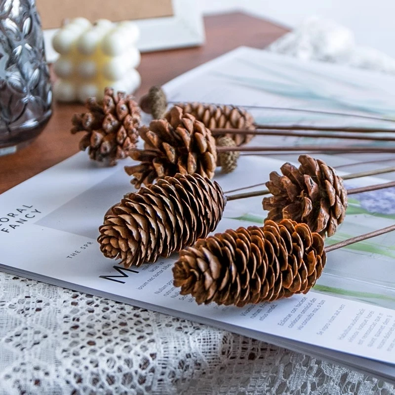 天然植物手作干花天然干花松果莲蓬DIY客厅桌面装饰摆件装饰品