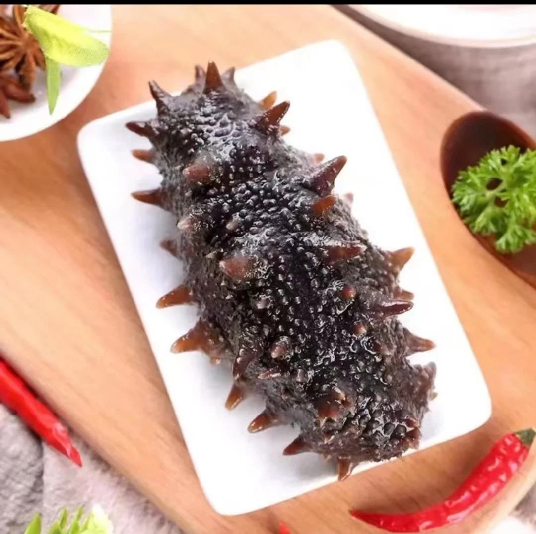 大连鲜食海参 6-12头规格  5斤