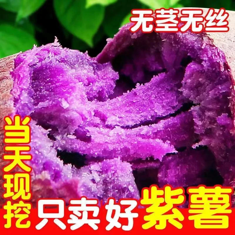 沙地紫薯新鲜紫罗兰红薯蜜薯甜糯香粉小紫薯地瓜番薯批发1/5/10斤