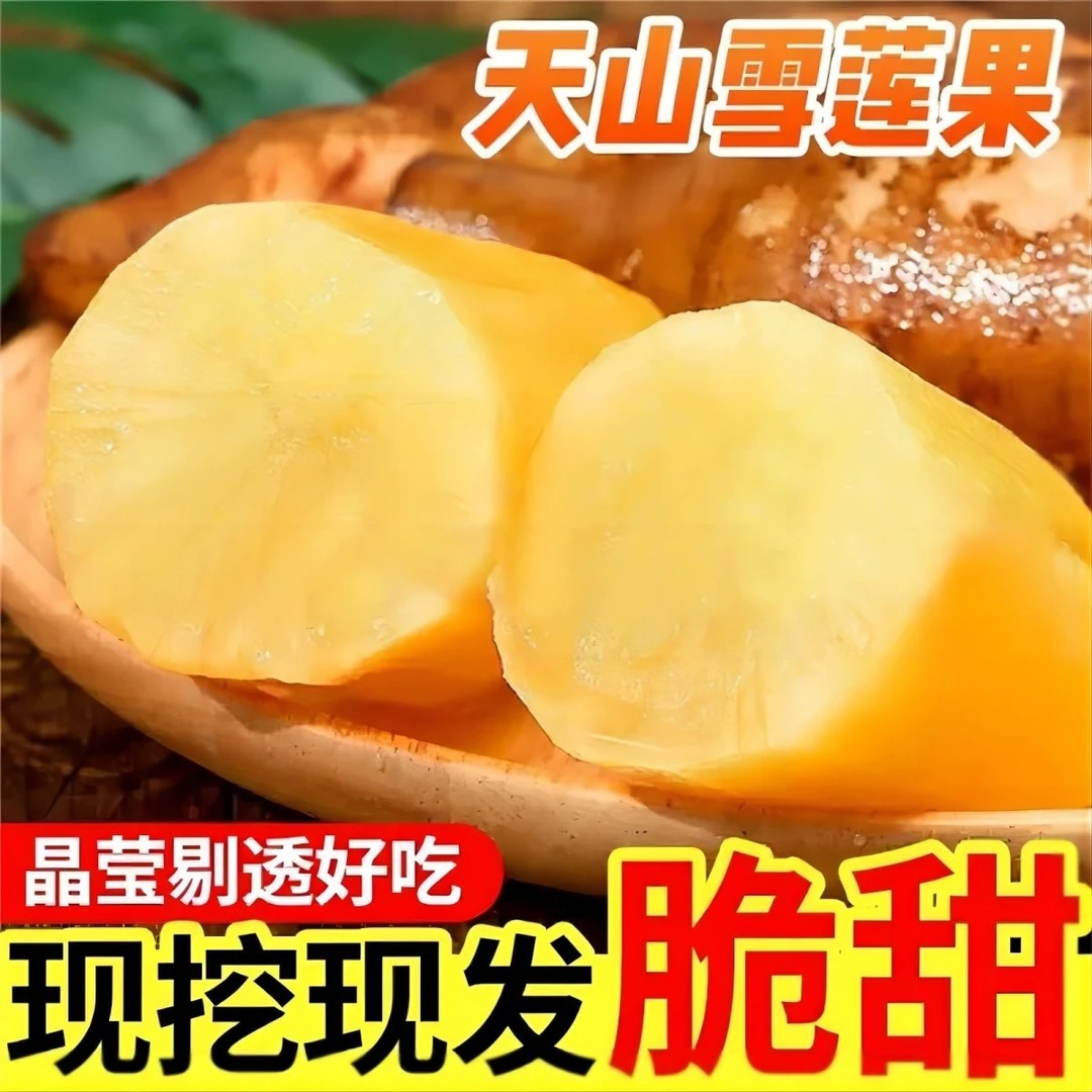 【现挖】云南正宗红心天山雪莲果10斤新鲜水果应季批发一整箱