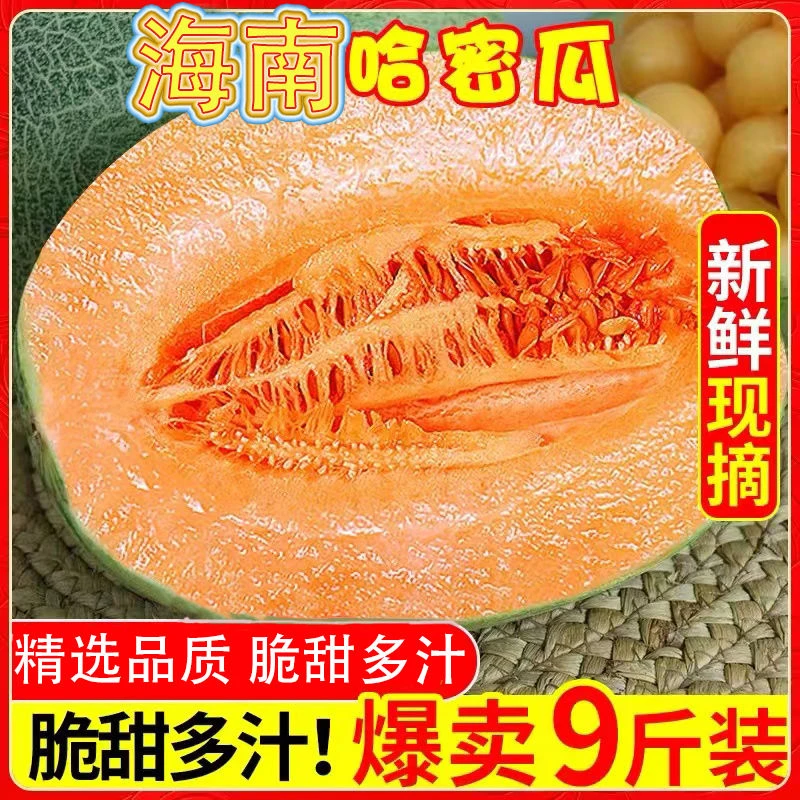 海南正宗哈密瓜水果当季新鲜晓密整箱批发脆甜多汁西州蜜哈蜜瓜