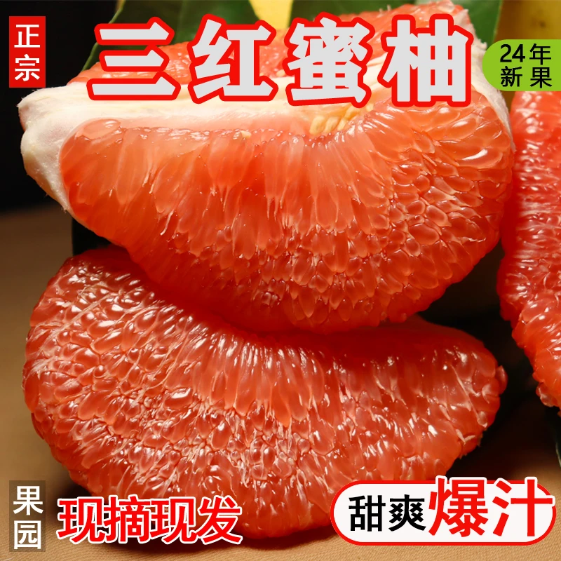 四川红心柚子营养丰富皮薄肉嫩甜爽多汁应季三红蜜柚现摘现发水果