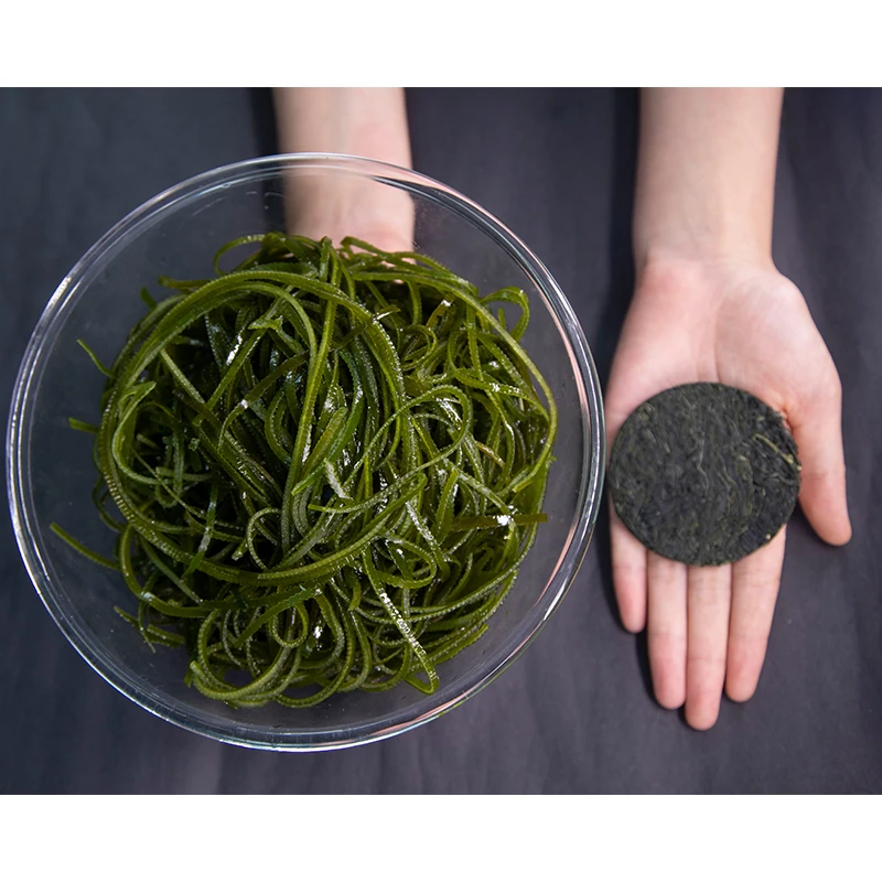 JIN KUI/金 葵金葵海带丝真空压缩干泡发烘干海带丝脱水方便干净