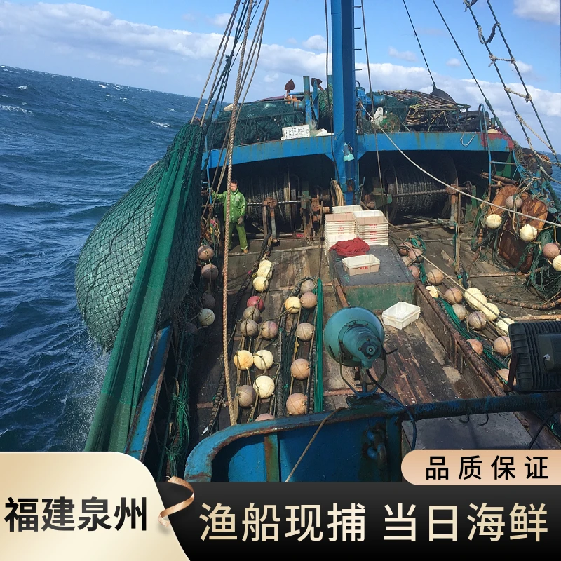 福建【野生杂虫下】深海捕捞鲜活冰冻渔船直供新鲜到家