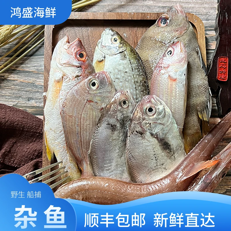 【杂鱼】 冻品清仓 没有售后建议不要拍！