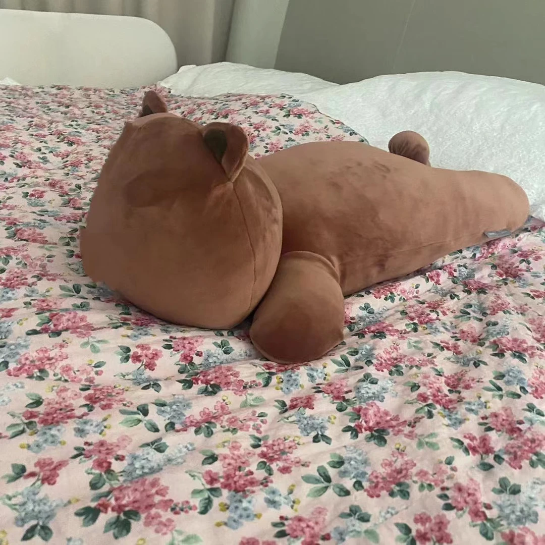 【颜色不挑】A200创意可爱趴趴咖色熊熊玩偶抱枕