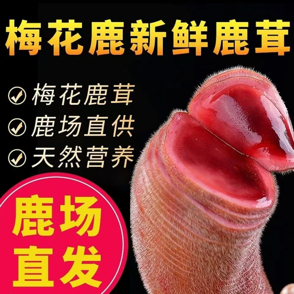 长白山产地 鲜鹿茸 泡酒煲汤营养丰富