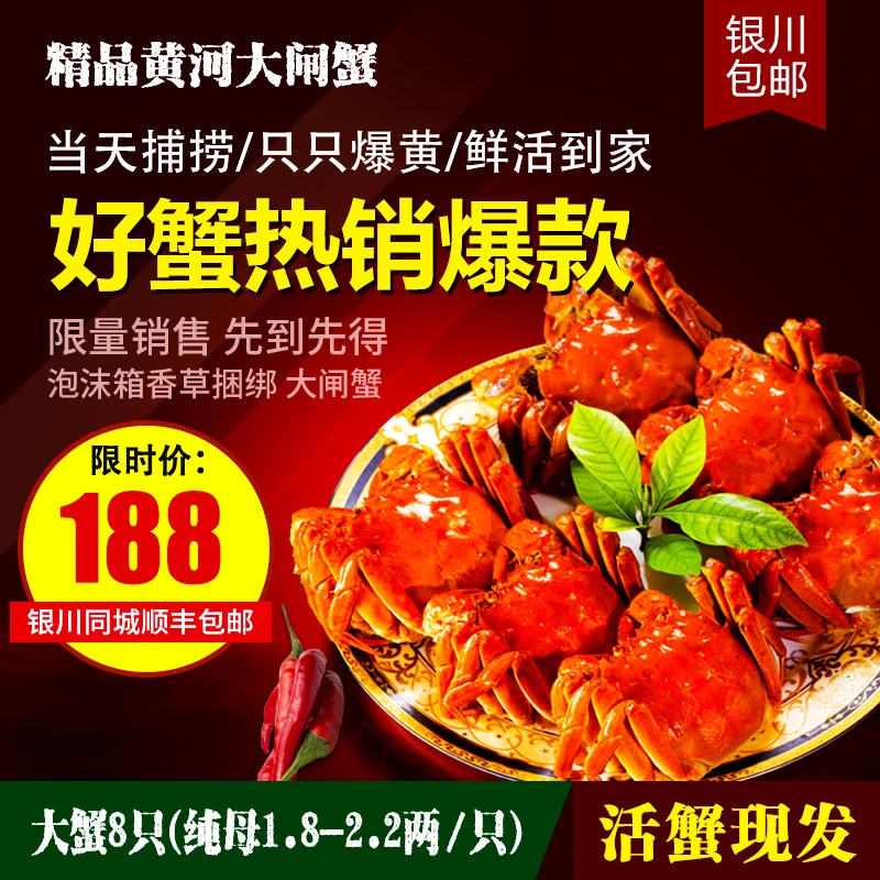 精品黄河大闸蟹 大蟹香草捆绑(纯母约2两/只)泡沫箱装8只全母 大闸蟹