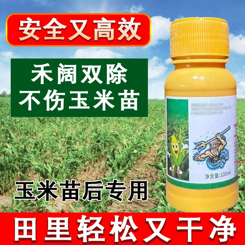 玉米苗后专用不伤玉米农田杂草玉米专用叶面水溶肥产品高效可用
