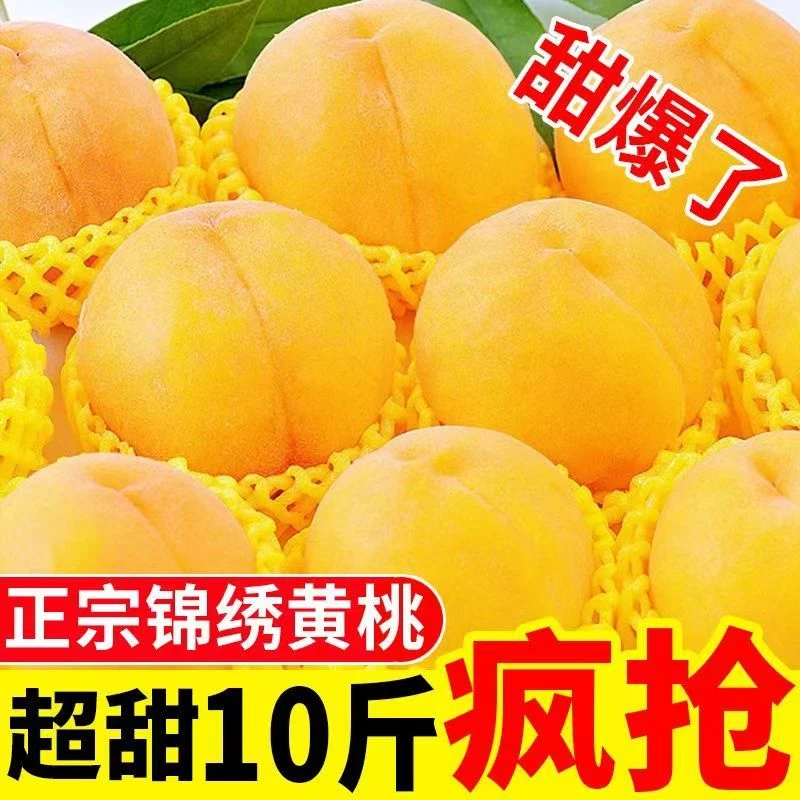 【爆甜】锦绣黄桃脆甜头茬果水蜜桃新鲜桃子黄毛桃软糯香甜应季蟠桃