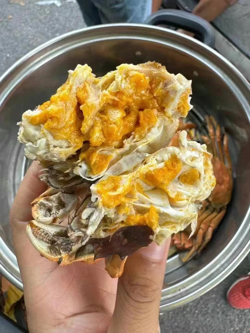 蟹思渝 江苏大闸蟹母蟹 每箱送蟹醋 死蟹包赔 无黄包赔 缺斤少两包赔