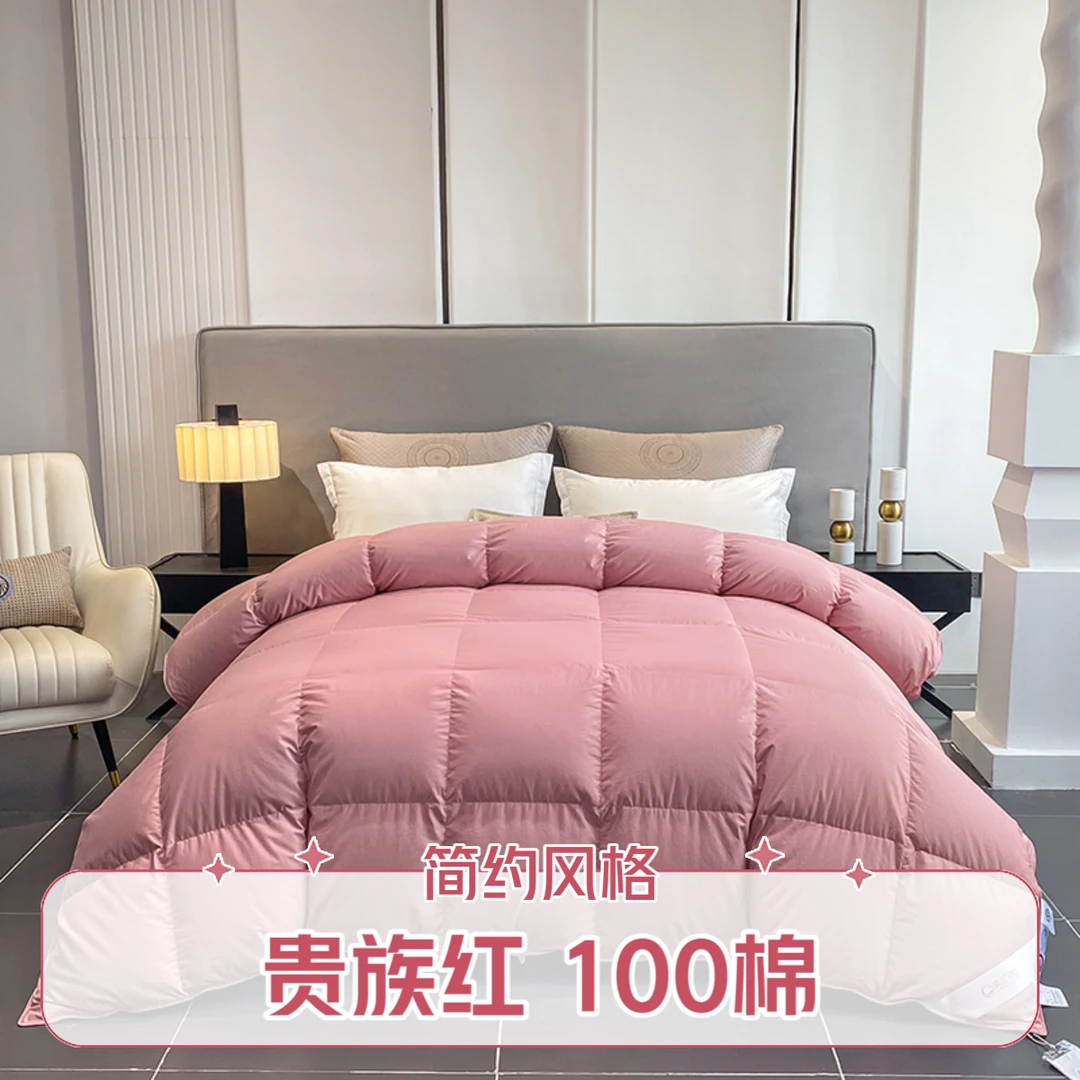 霖达LINDA羽绒纯棉面料90%鸭绒羽绒被保暖被芯冬被品质绒正品