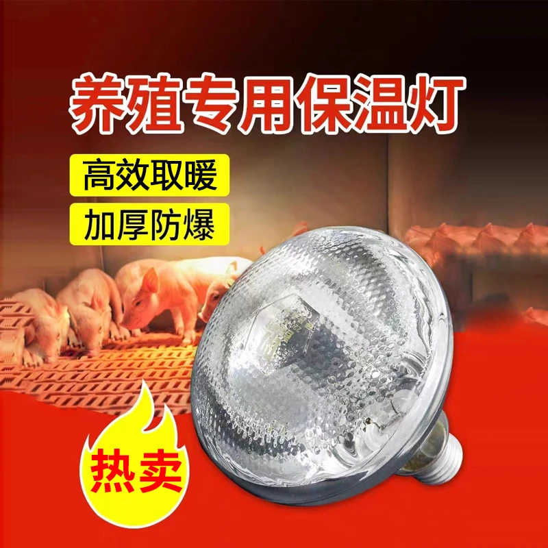 保温灯养殖场专用加厚防水防爆节能保暖猪仔取暖猪场