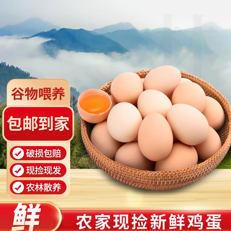 我老家50枚农家散养新鲜谷物鸡蛋农场直发头茬初生蛋