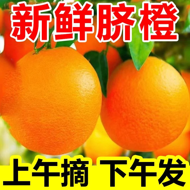 A赣南脐橙当季新鲜水果现摘爆汁橙子大果