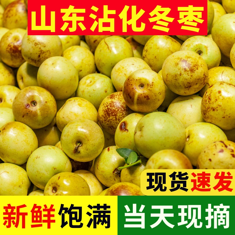 【 5斤装 】Q山东沾化冬枣新鲜枣子青枣产地直当季水果