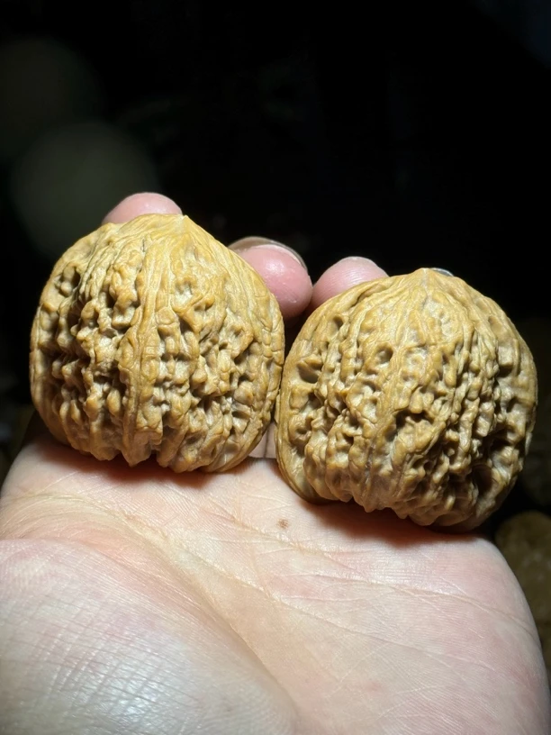 凹底南疆石丑疆极致配对边全品无修文玩核桃一物一图