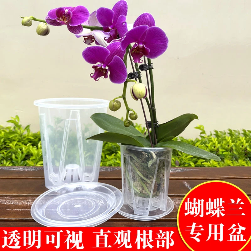 种植青山控根盆海芋水苔蝴蝶兰花专用盆透气镂空大号塑料花盆家用