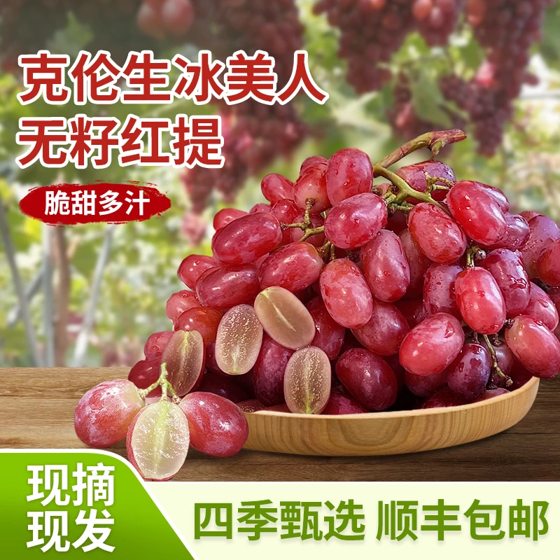 绿丽香【顺丰包邮】克伦生无籽红提 纯甜无酸 无籽葡萄  现摘现发