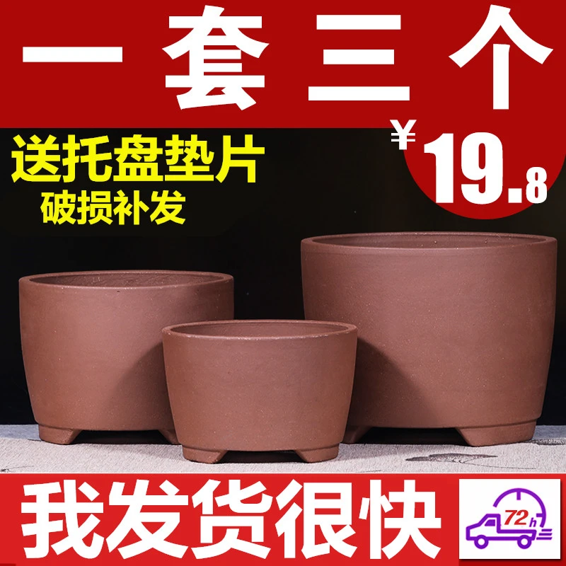 紫砂花盆厂家直销大号君子兰专用花盆盆景盆陶瓷多肉花盆