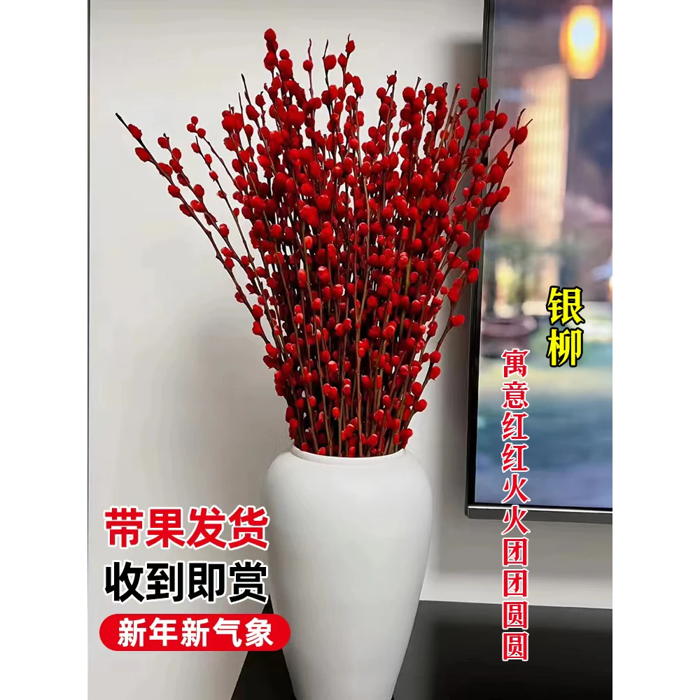 红色银柳真花鲜枝插花年宵花卉干花花束客厅摆设红柳干枝水培植物
