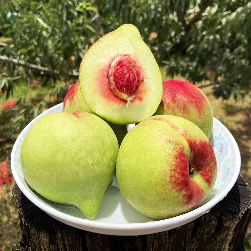 云南正宗老品种蒙自鹰嘴桃脆甜当季优质桃子新鲜大果产地直销脆桃