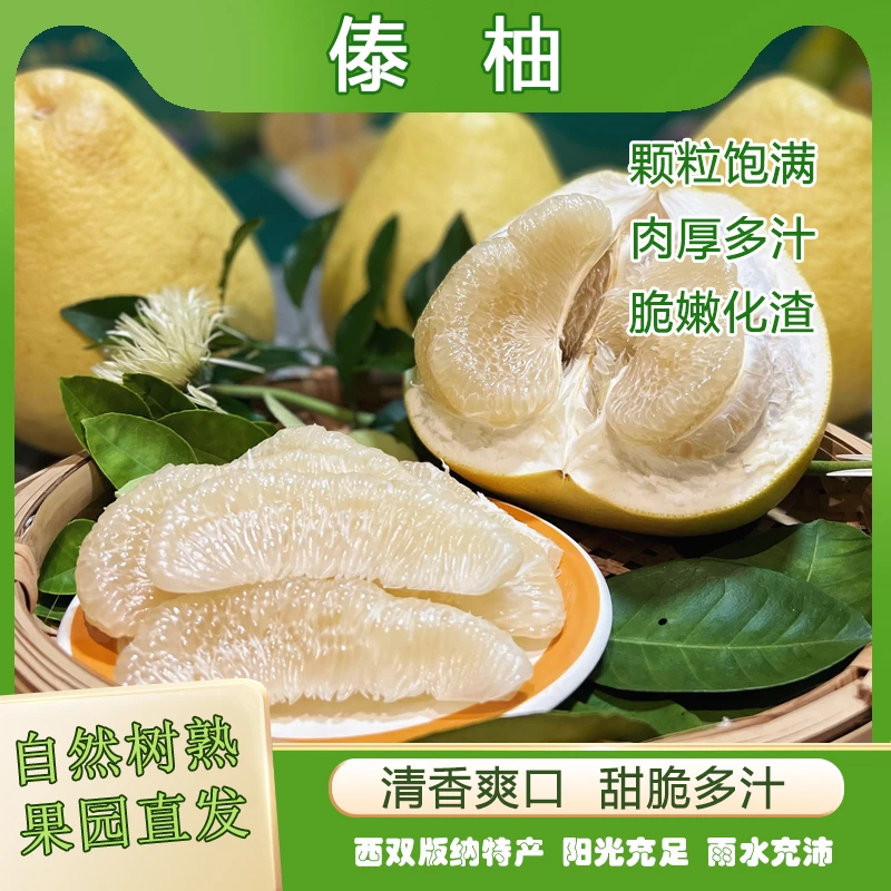 （坏果包赔）正宗西双版纳傣柚当季新鲜孕妇水果产地直销