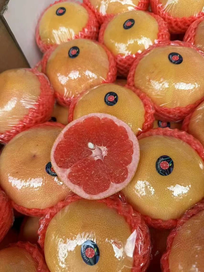 福建纯甜西红柚约480克/个