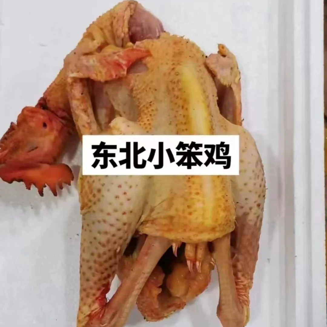 散养小笨鸡活鸡现杀冷冻发货4斤左右农村散养鸡