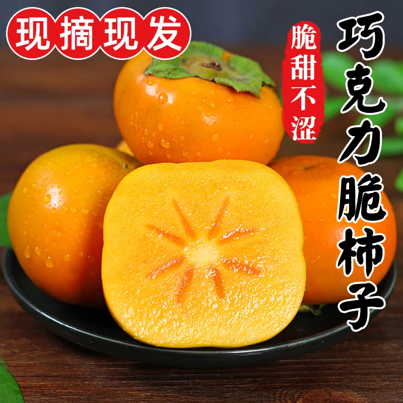 现摘新鲜山西阳丰巧克力甜脆柿子4.5~9斤