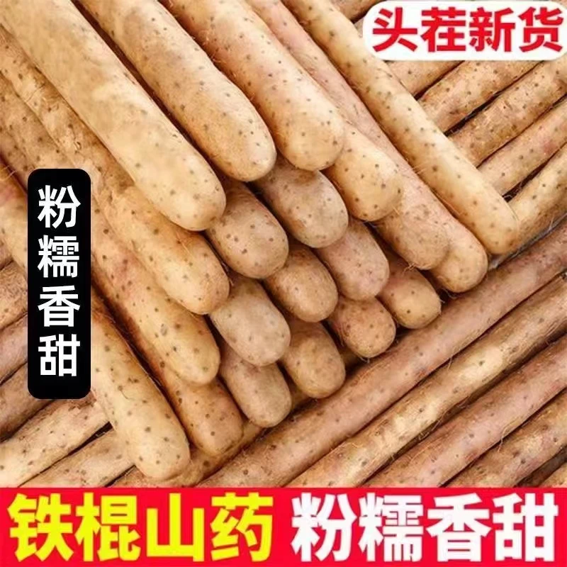 【现摘现发】正宗山西运城新鲜采摘粉糯铁棍山药5斤装z