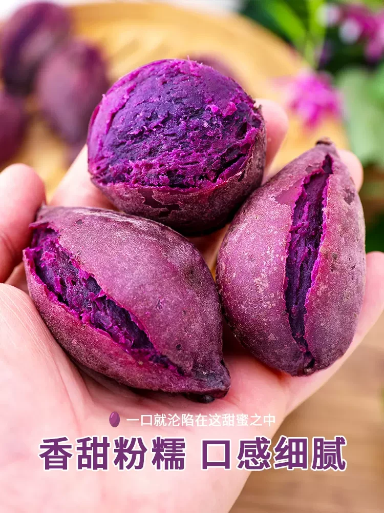 紫薯新鲜鸡蛋小紫薯农家自种地瓜沙地现挖番薯板栗红烟薯糖心蜜薯