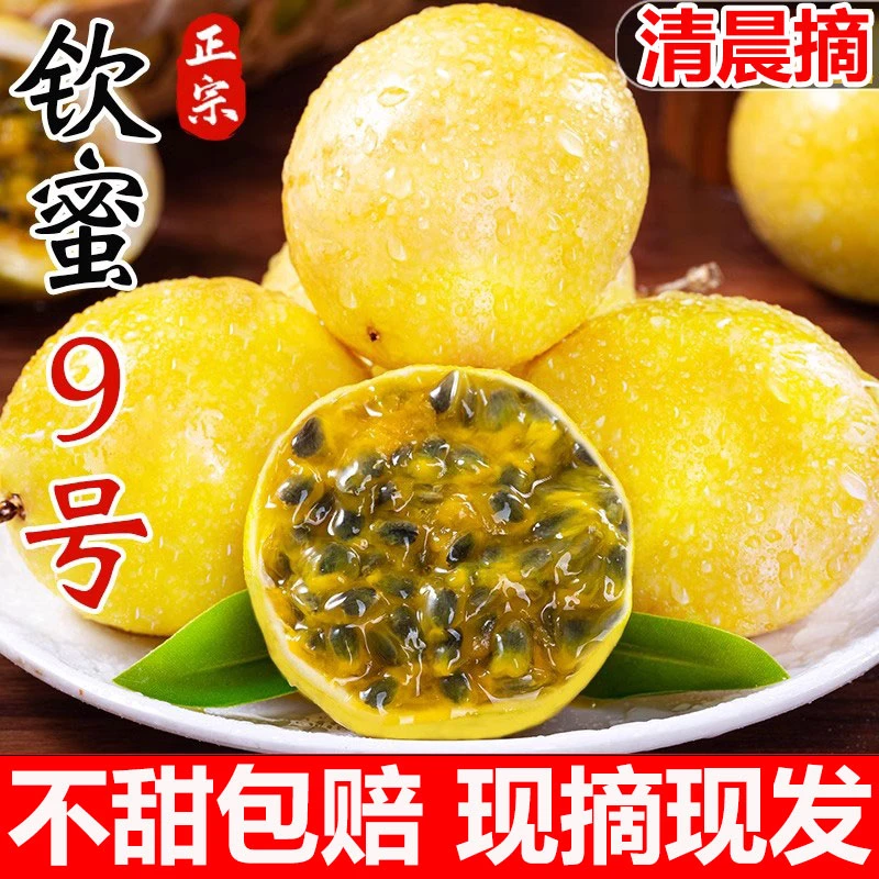 现摘新鲜黄金百香果正宗广西百香果黄金果纯甜1斤3斤5斤钦蜜九号