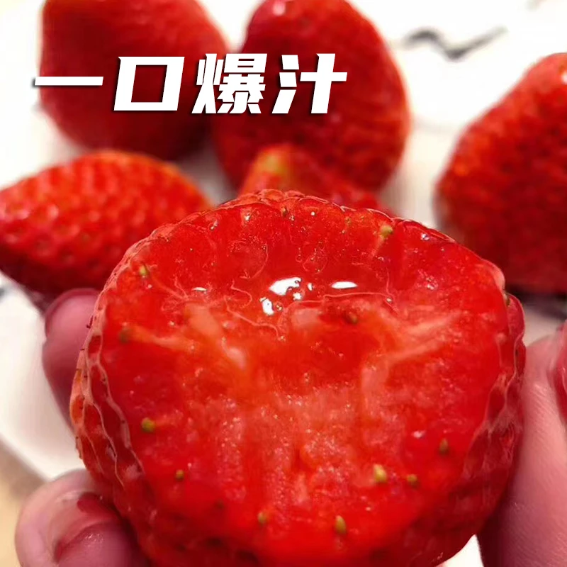 丹东草莓新99鲜头茬九九草莓顺丰空运包邮水果营养浓郁香甜