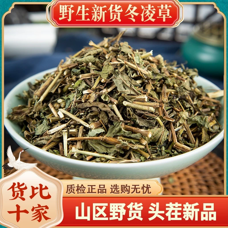 冬凌草野生正品新货山香草雪花草冰凌草干货250-1000克包邮非葛根