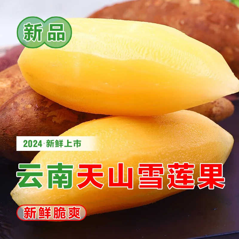天山雪莲果新鲜大果3斤--9斤应当季孕妇水果红心云南雪连果一整箱