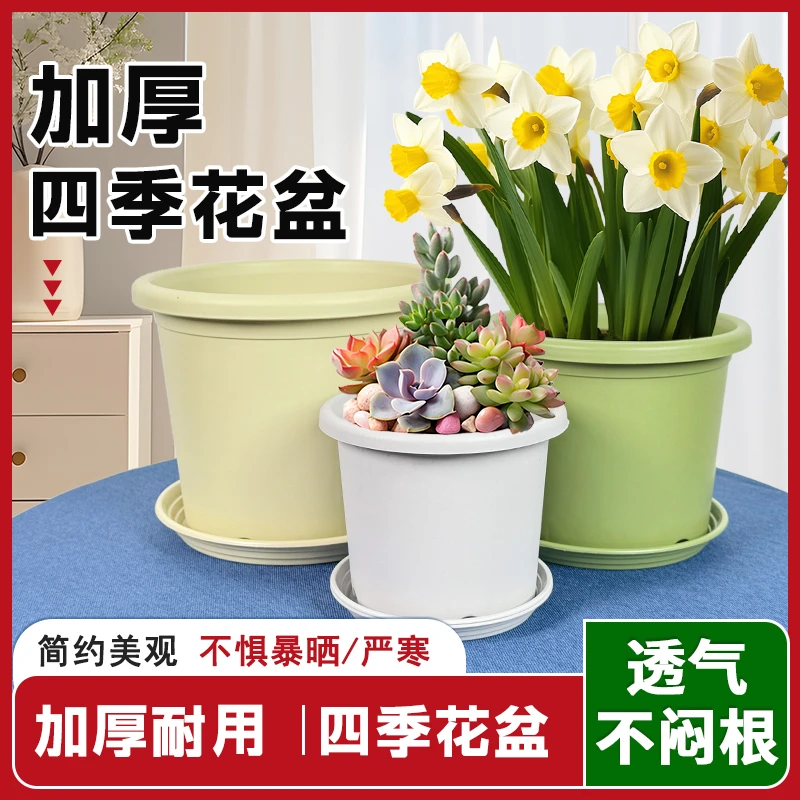 多肉花盆家用北欧塑料加仑盆带托盘大小号高颜值阳台盆栽树脂加厚