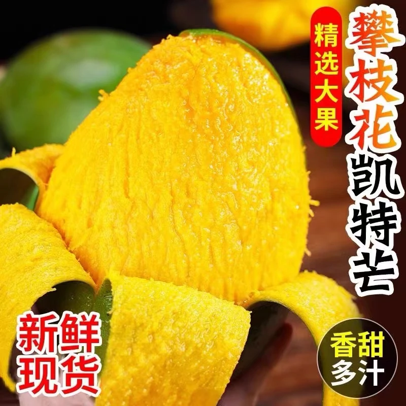 放软食用】攀枝花青皮凯特芒果大脸芒5/10斤香甜应季新鲜水果