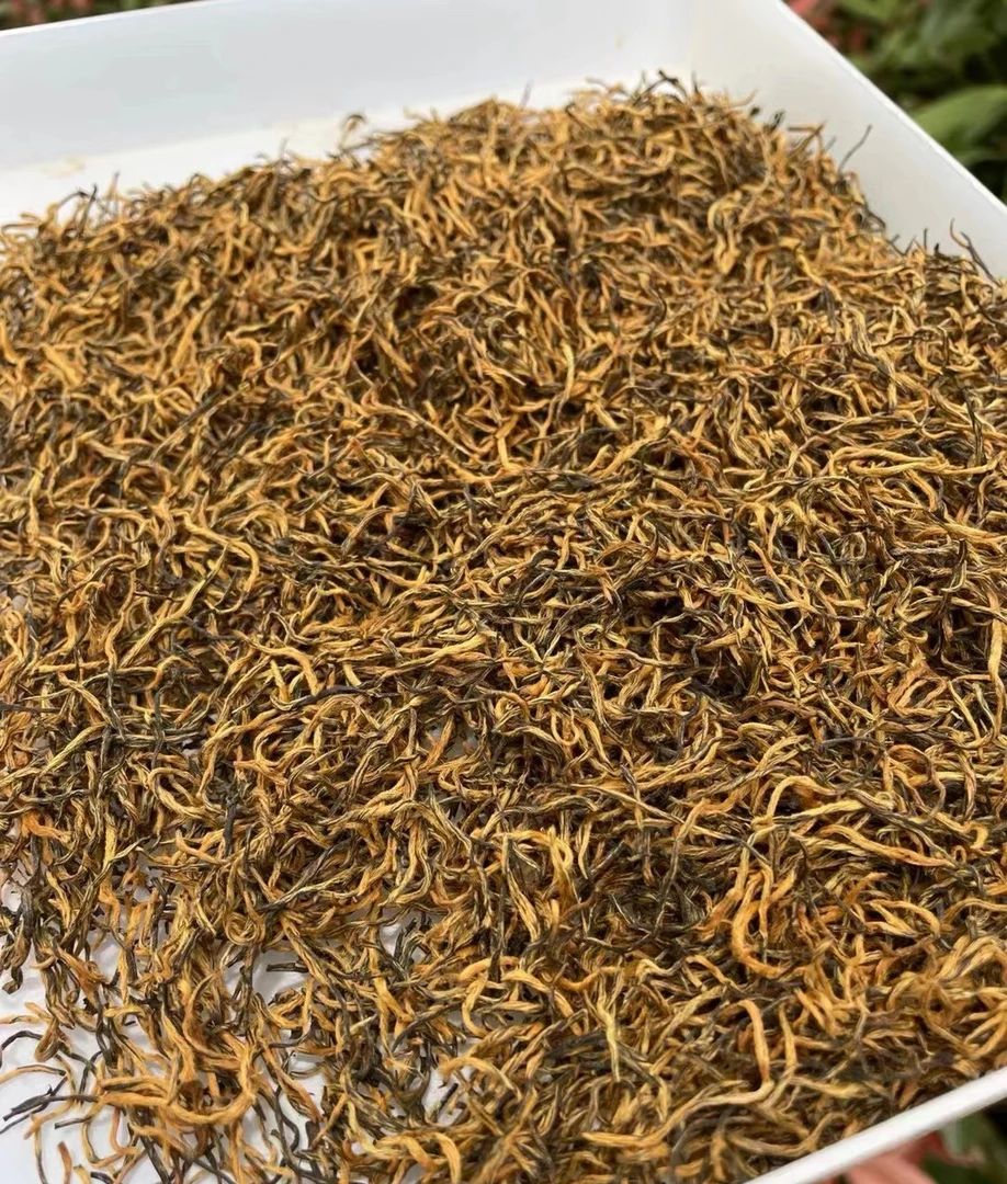 红茶 高山小种 果香蜜香单芽