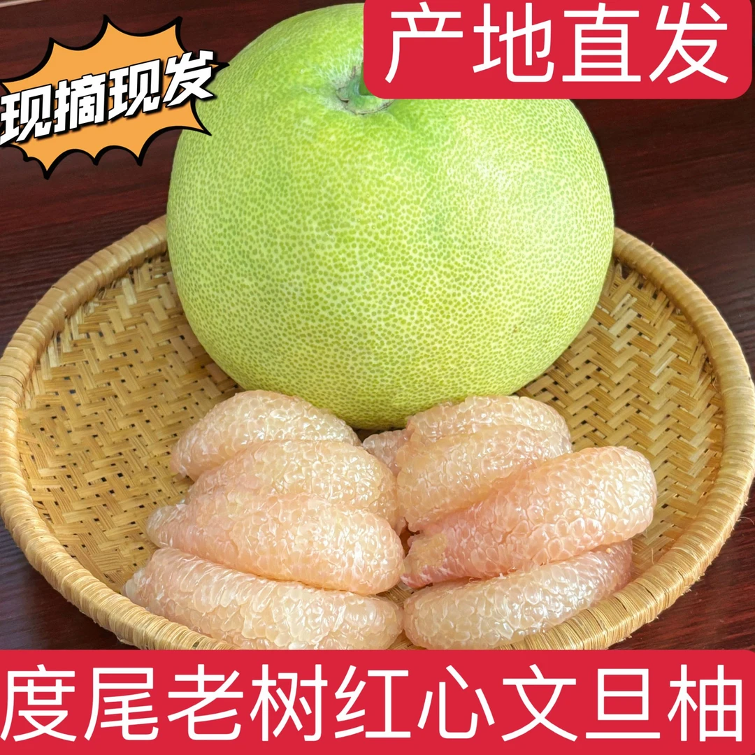 正宗度尾文旦柚20-30斤老树精品果当季新鲜现摘现发孕妇水果